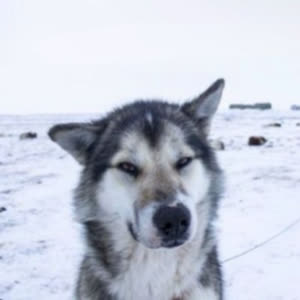 Source: profile picture from 2025-01-06