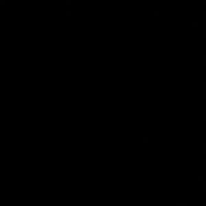 Source: profile picture from 2026-01-19