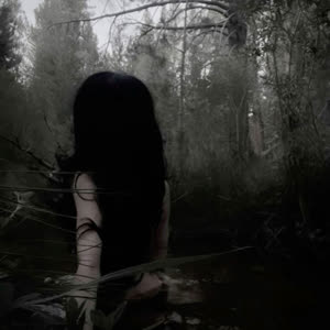 Source: profile picture from 2024-11-25