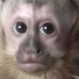 Source: profile picture from 2025-01-13