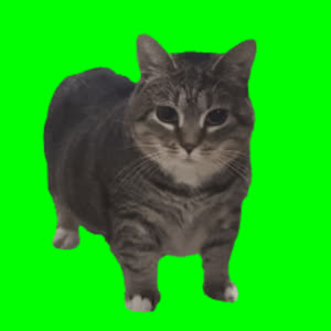 Source: profile picture from 2026-04-27
