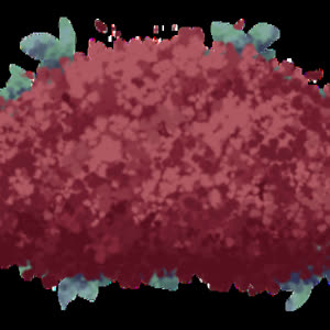 Source: profile picture from 2025-02-06