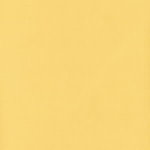 Source: profile picture from 2024-06-03