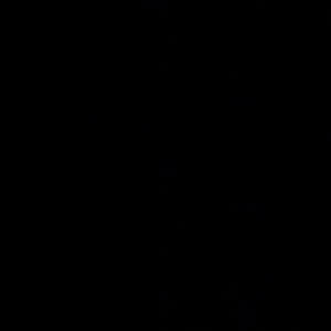 Source: profile picture from 2025-09-04