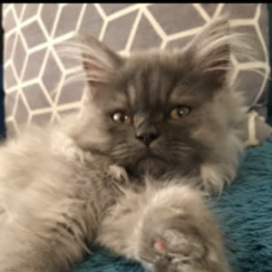 Source: profile picture from 2025-09-04