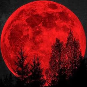Source: profile picture from 2026-04-16