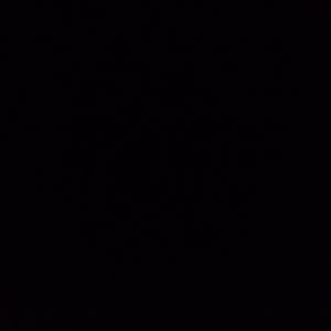 Source: profile picture from 2026-01-19