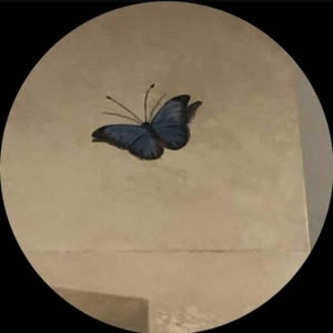 Source: profile picture from 2023-08-31