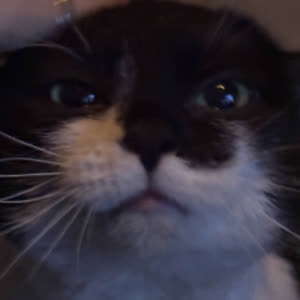 Source: profile picture from 2026-01-26