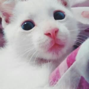 Source: profile picture from 2024-02-29