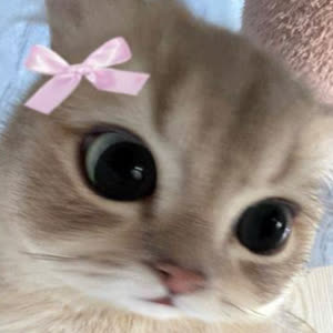 Source: profile picture from 2026-08-20