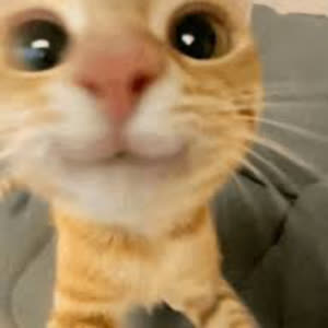 Source: profile picture from 2026-08-24
