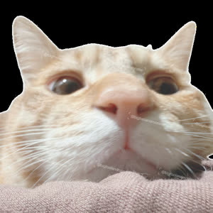 Source: profile picture from 2026-06-15