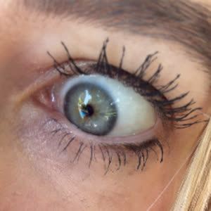 Source: profile picture from 2025-06-12