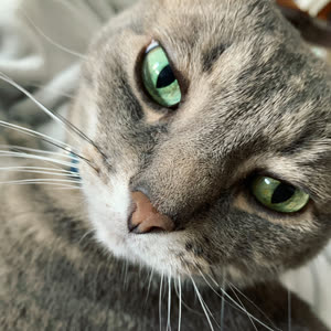 Source: profile picture from 2022-11-20