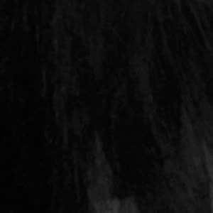 Source: profile picture from 2023-03-16