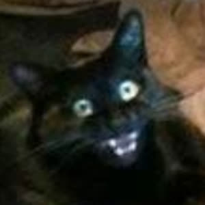 Source: profile picture from 2022-11-20