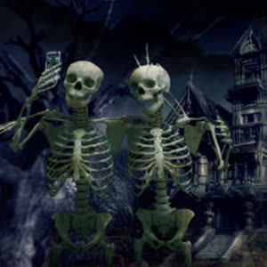 Source: profile picture from 2022-11-21