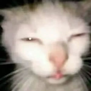 Source: profile picture from 2025-05-26