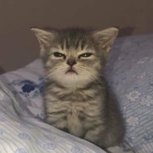 Source: profile picture from 2024-02-12