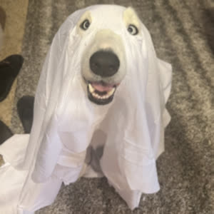 Source: profile picture from 2025-10-09