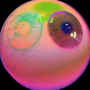 Source: profile picture from 2022-12-19