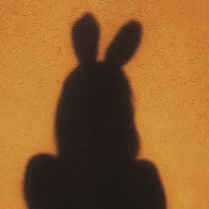 Source: profile picture from 2026-01-19