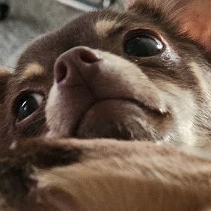 Source: profile picture from 2025-09-04