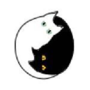 Source: profile picture from 2022-11-20