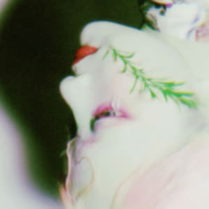 Source: profile picture from 2026-01-19