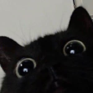 Source: profile picture from 2025-01-16