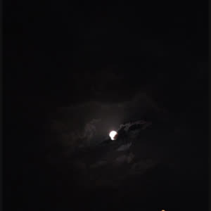 Source: profile picture from 2024-10-24