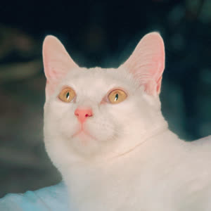 Source: profile picture from 2022-11-21