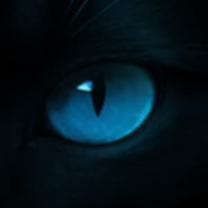 Source: profile picture from 2026-01-19