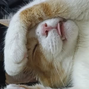 Source: profile picture from 2026-01-19