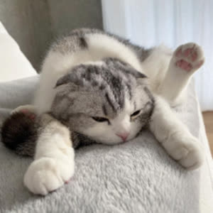 Source: profile picture from 2025-01-16