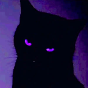 Source: profile picture from 2026-01-19