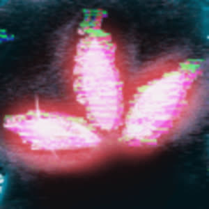 Source: profile picture from 2026-09-17