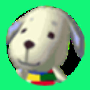 Source: profile picture from 2023-06-01
