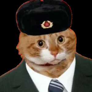 Source: profile picture from 2026-01-19