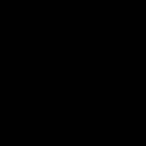 Source: profile picture from 2025-05-26