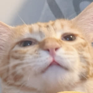 Source: profile picture from 2026-05-18