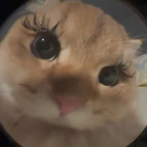 Source: profile picture from 2025-06-12