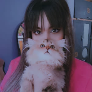 Source: profile picture from 2024-11-18