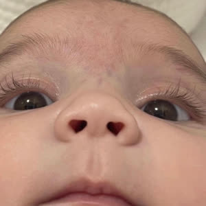 Source: profile picture from 2024-11-14