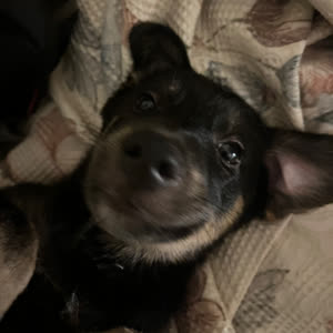 Source: profile picture from 2025-09-04