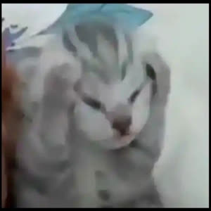 Source: profile picture from 2023-05-01