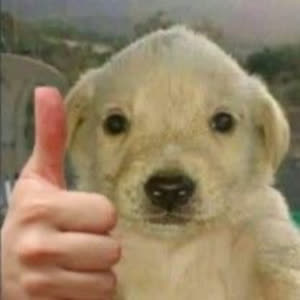 Source: profile picture from 2023-01-26