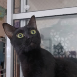 Source: profile picture from 2025-05-26