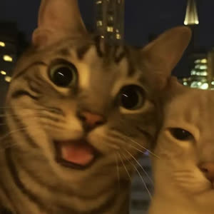 Source: profile picture from 2025-09-04